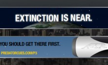 Teaser & Launch Banners